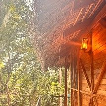 Thatched roofline and hand-carved wooden geometry